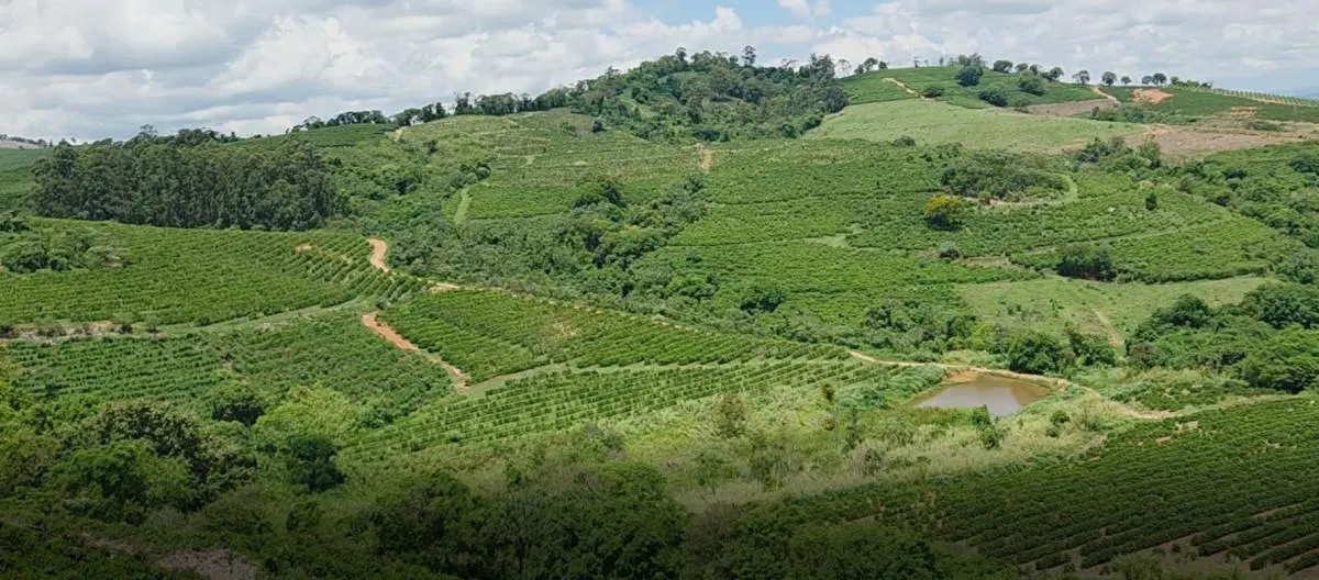 Fazenda à venda de 2.080 ha em Caconde, SP, Brasil
