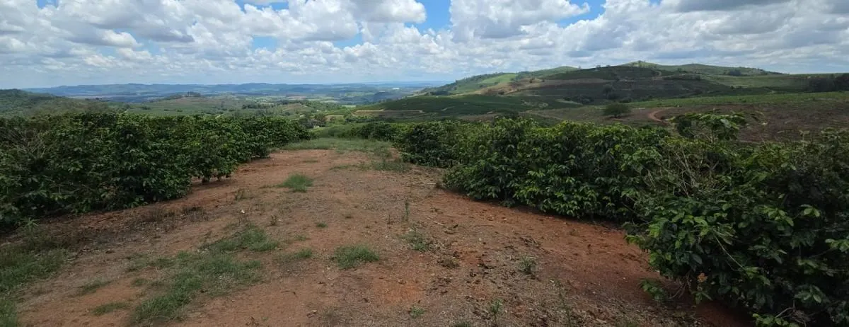 Fazenda à venda de 2.080 ha em Caconde, SP, Brasil