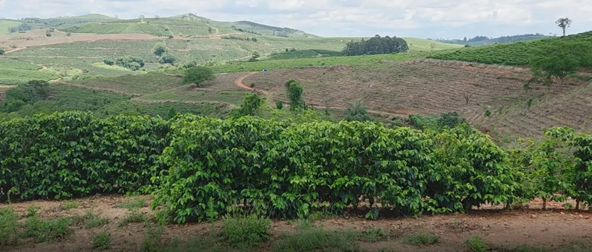 Fazenda à venda de 2.080 ha em Caconde, SP, Brasil