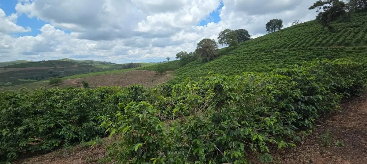 Fazenda à venda de 2.080 ha em Caconde, SP, Brasil