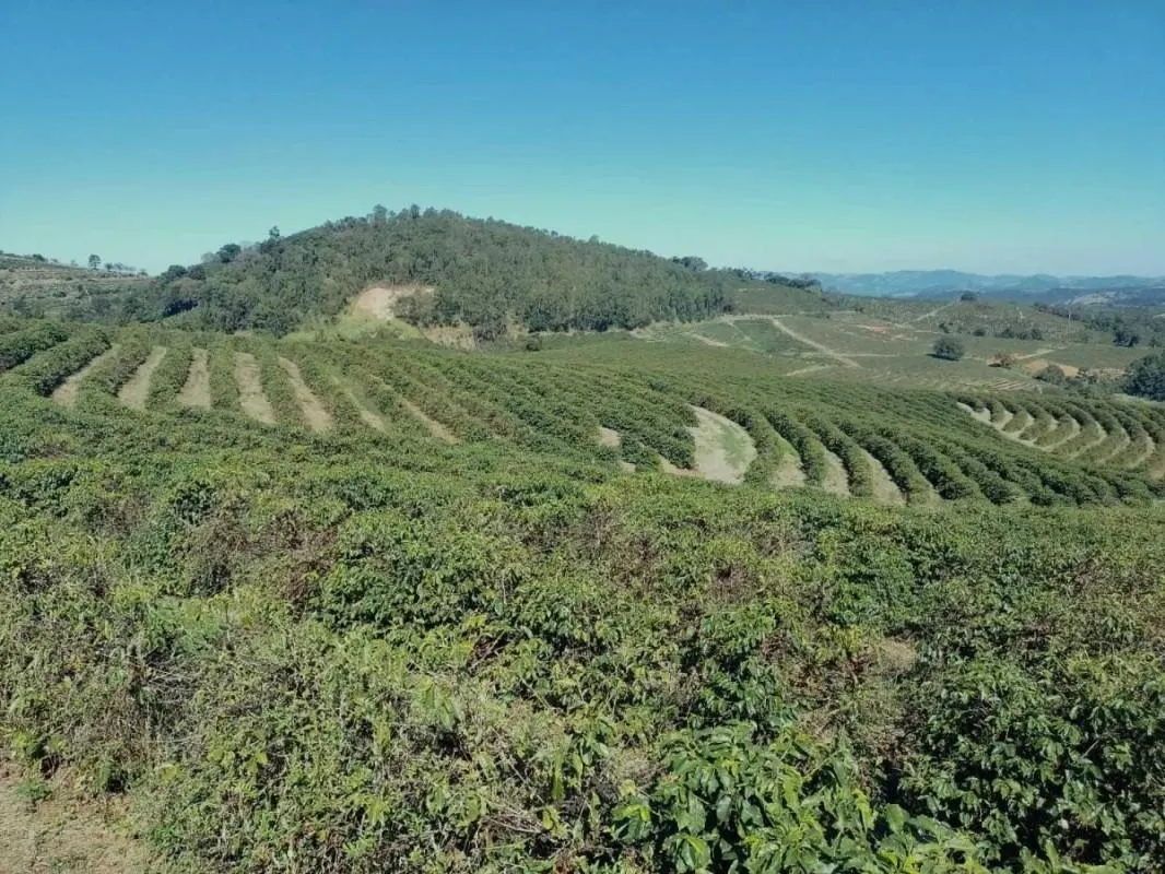 Fazenda à venda de 2.080 ha em Caconde, SP, Brasil