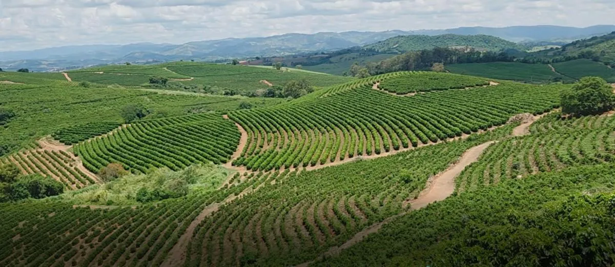 Fazenda à venda de 2.080 ha em Caconde, SP, Brasil