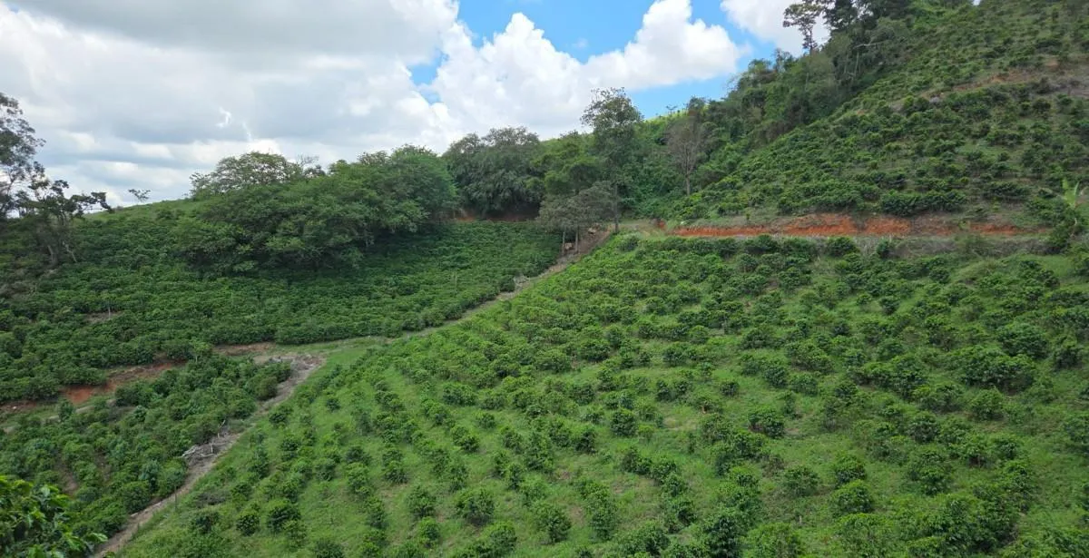 Fazenda à venda de 2.080 ha em Caconde, SP, Brasil