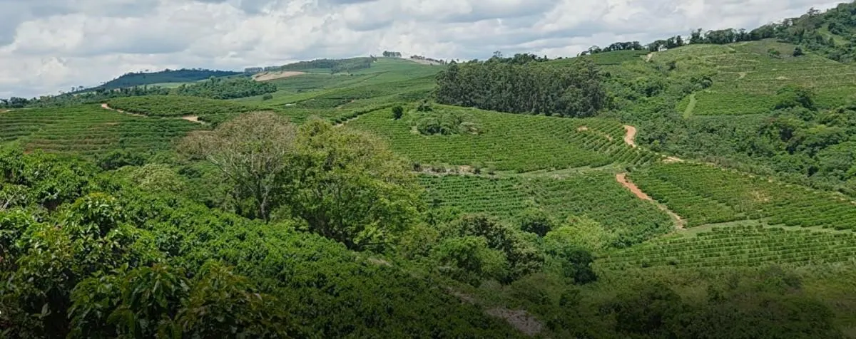Fazenda à venda de 2.080 ha em Caconde, SP, Brasil