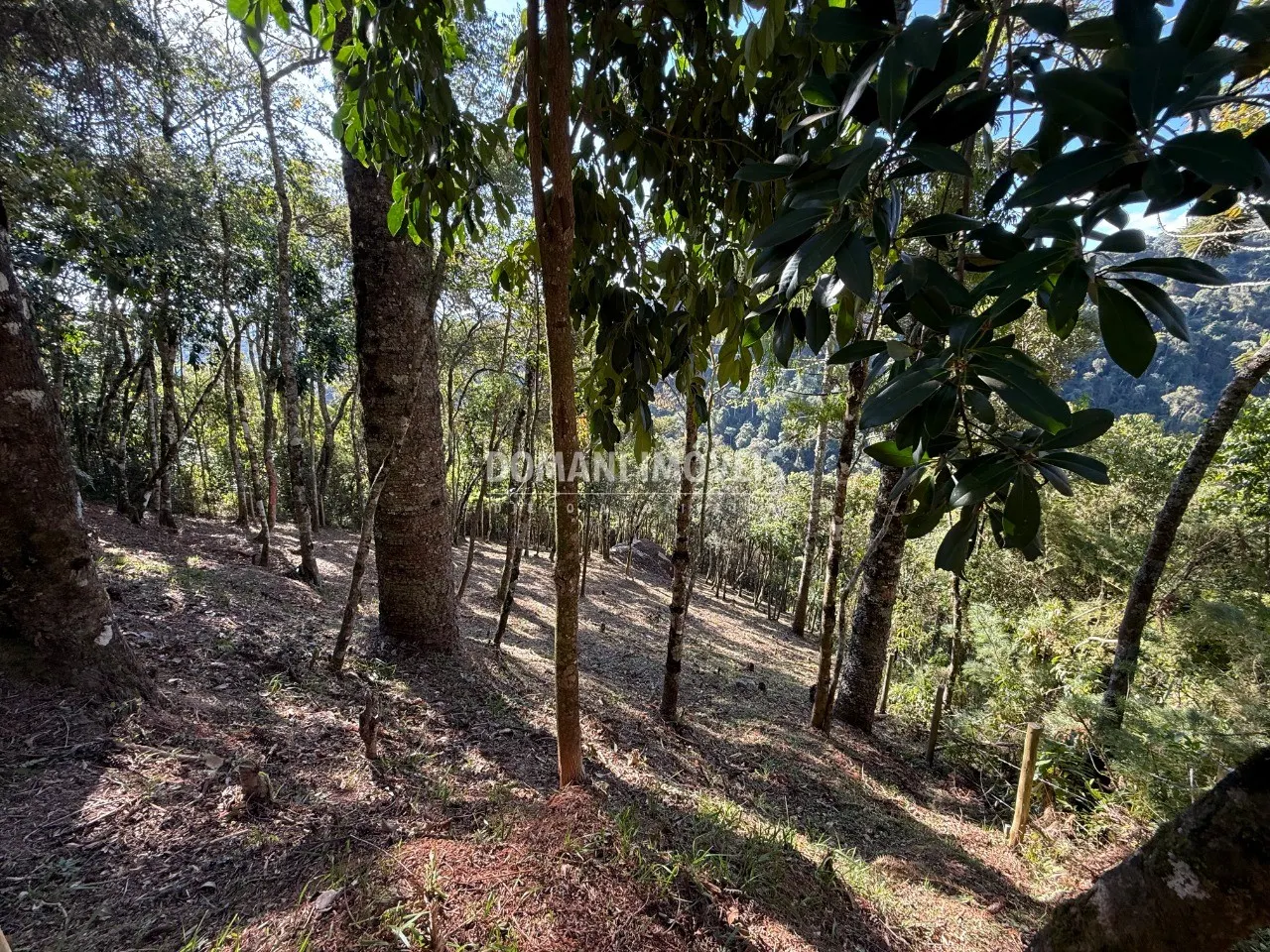 Plot for sale of 1,210 m² in Campos do Jordão, SP, Brazil