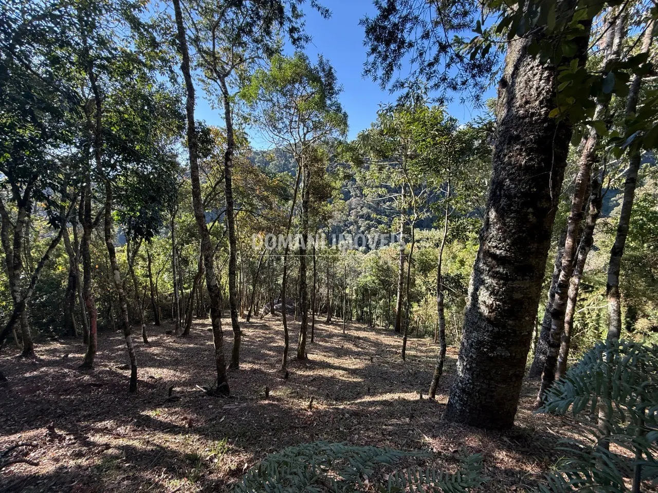 Plot for sale of 1,210 m² in Campos do Jordão, SP, Brazil