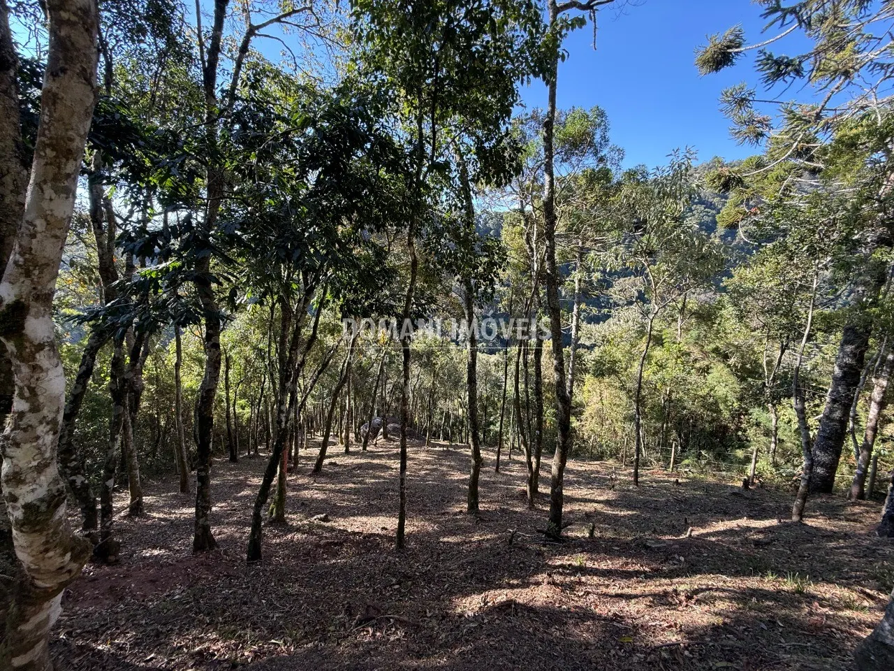 Plot for sale of 1,210 m² in Campos do Jordão, SP, Brazil