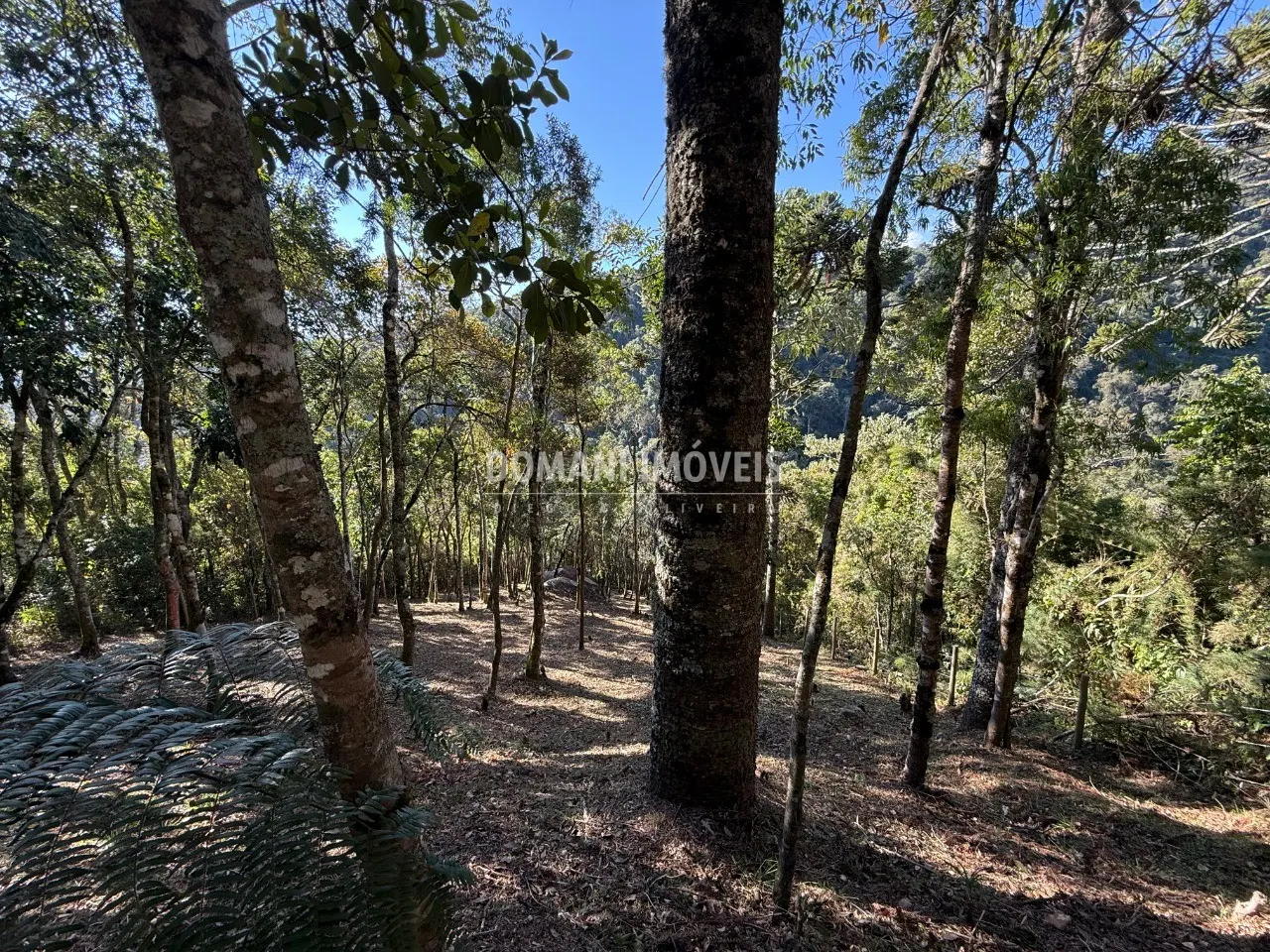 Plot for sale of 1,210 m² in Campos do Jordão, SP, Brazil
