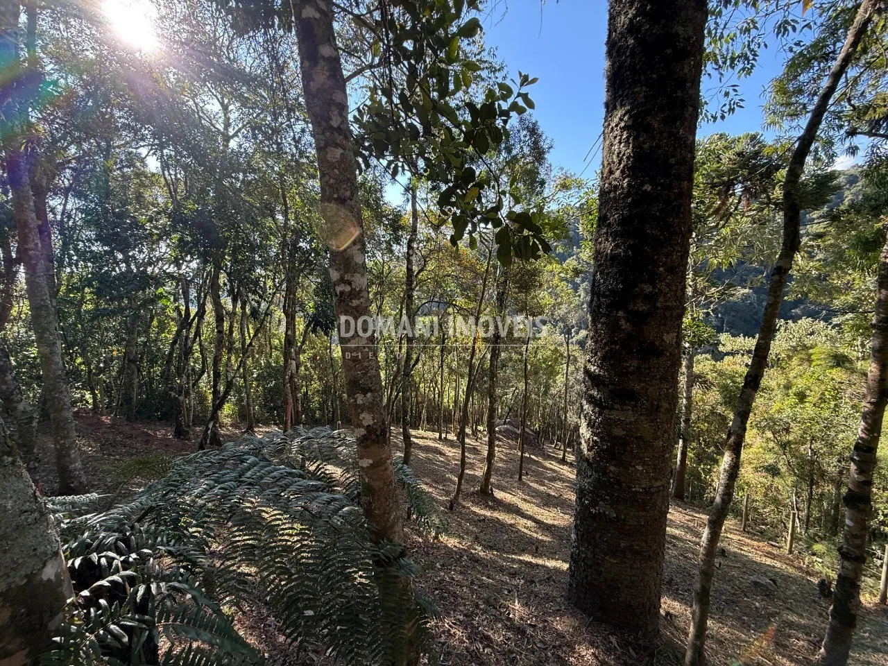 Plot for sale of 1,210 m² in Campos do Jordão, SP, Brazil