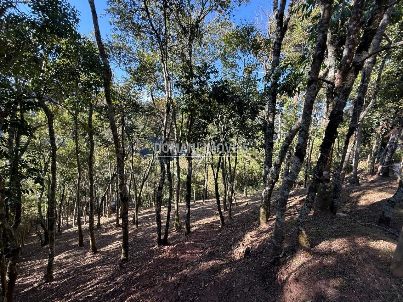 Plot for sale of 1,210 m² in Campos do Jordão, SP, Brazil