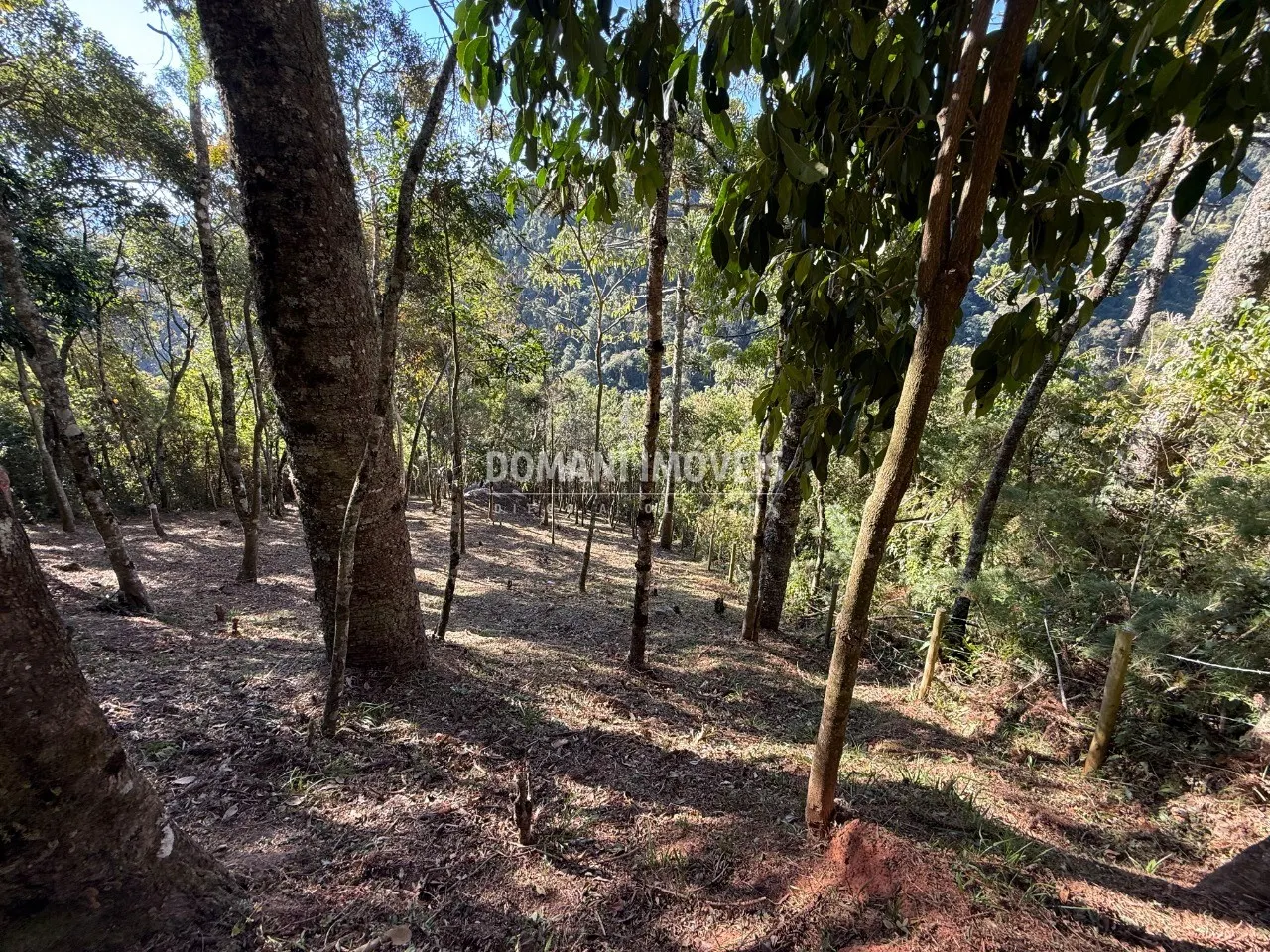 Plot for sale of 1,210 m² in Campos do Jordão, SP, Brazil
