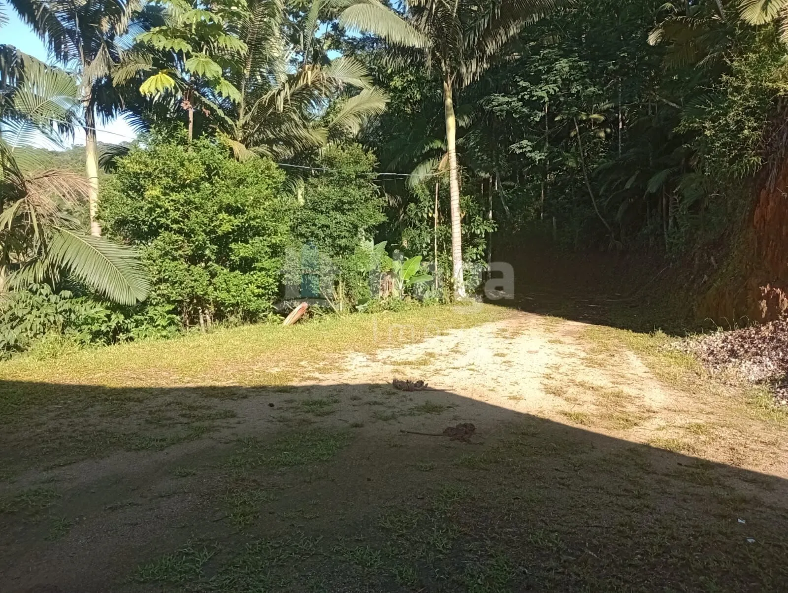 Chácara à venda de 3 ha em Major Gercino, SC, Brasil