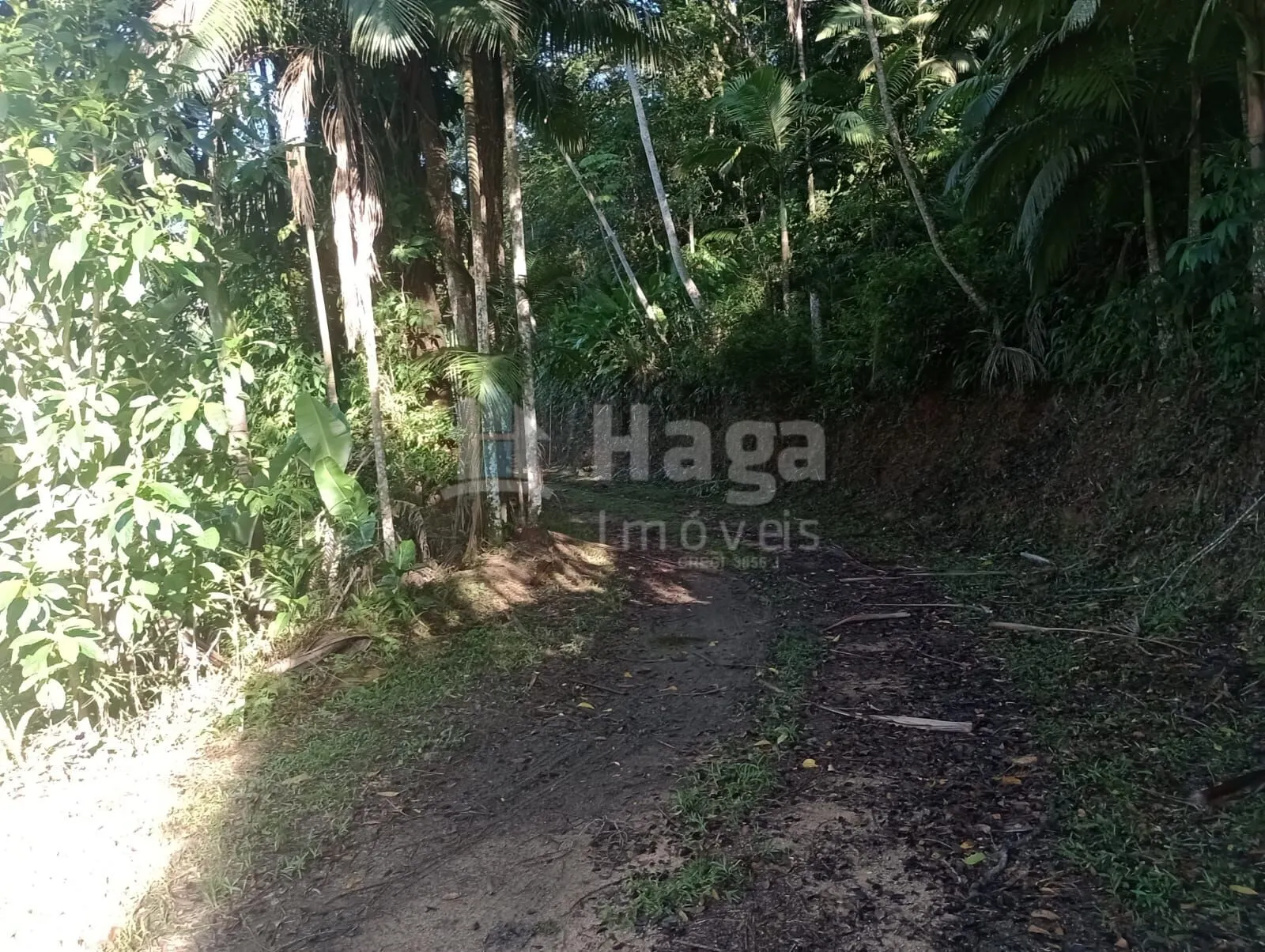 Chácara à venda de 3 ha em Major Gercino, SC, Brasil