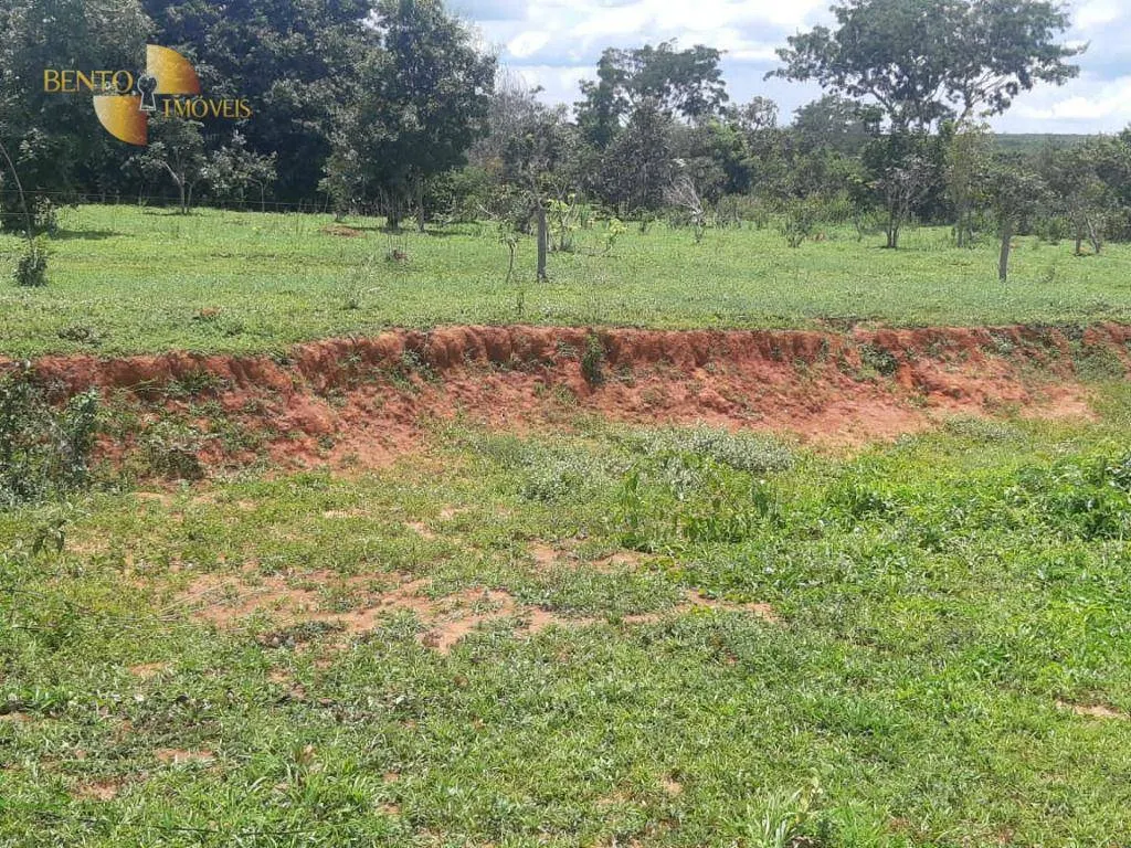 Farm for sale of 3,657 acres in Paranatinga, MT, Brazil