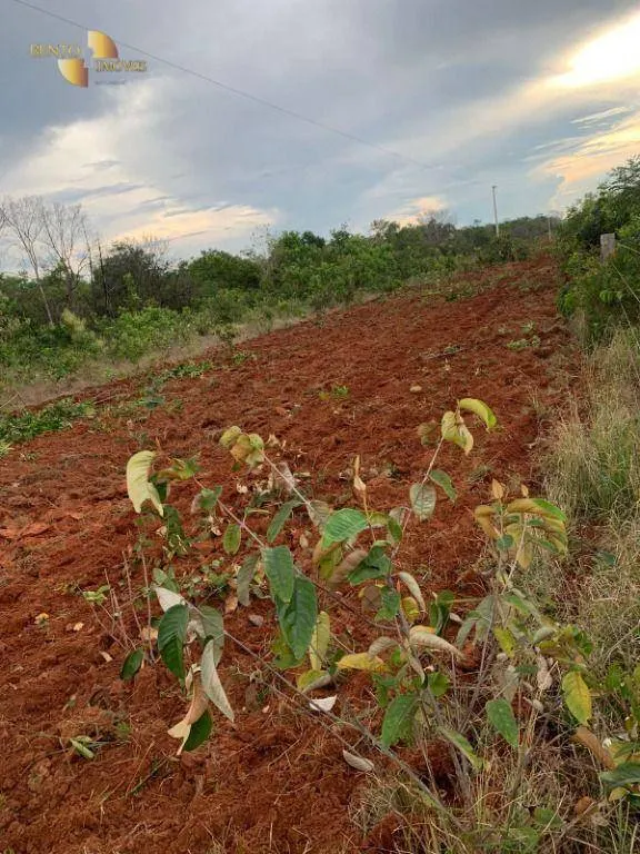 Farm for sale of 3,657 acres in Paranatinga, MT, Brazil