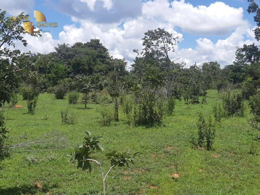 Farm for sale of 3,657 acres in Paranatinga, MT, Brazil
