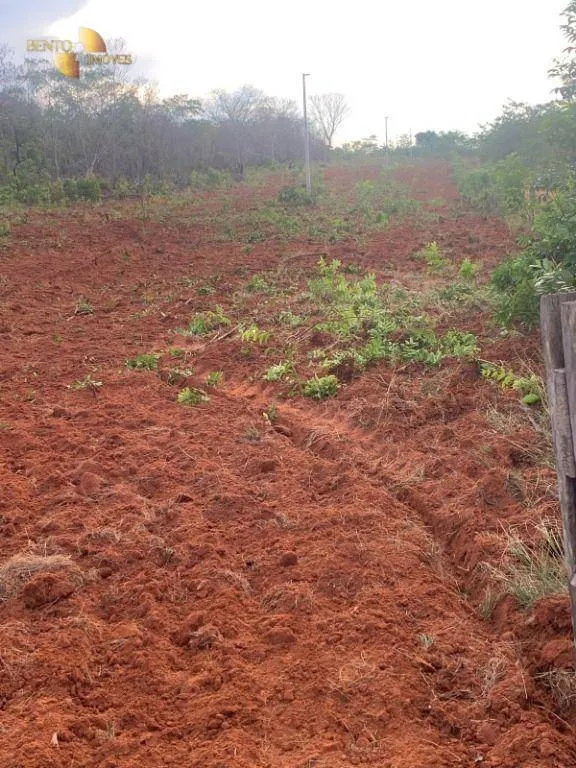 Farm for sale of 3,657 acres in Paranatinga, MT, Brazil