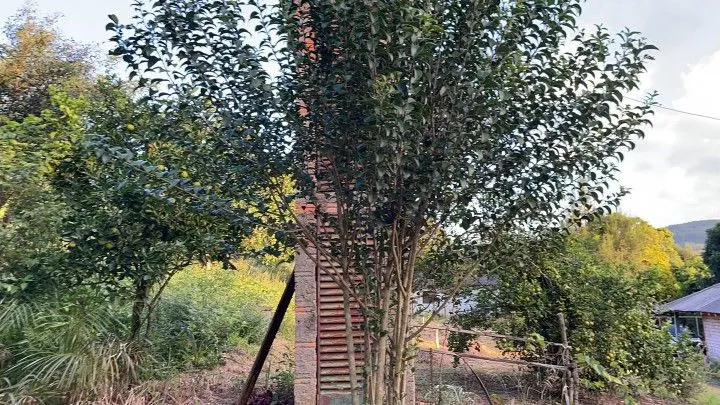 Country home for sale of 2,900 m² in Caraá, RS, Brazil