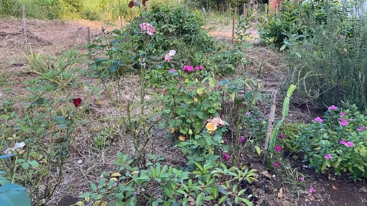 Country home for sale of 2,900 m² in Caraá, RS, Brazil