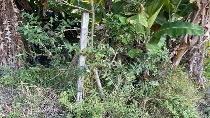 Country home for sale of 2,900 m² in Caraá, RS, Brazil