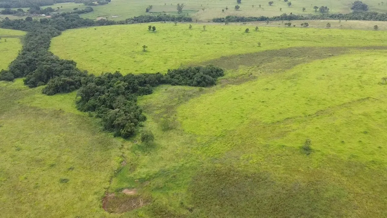 Fazenda à venda de 65 ha em Itapetininga, SP, Brasil