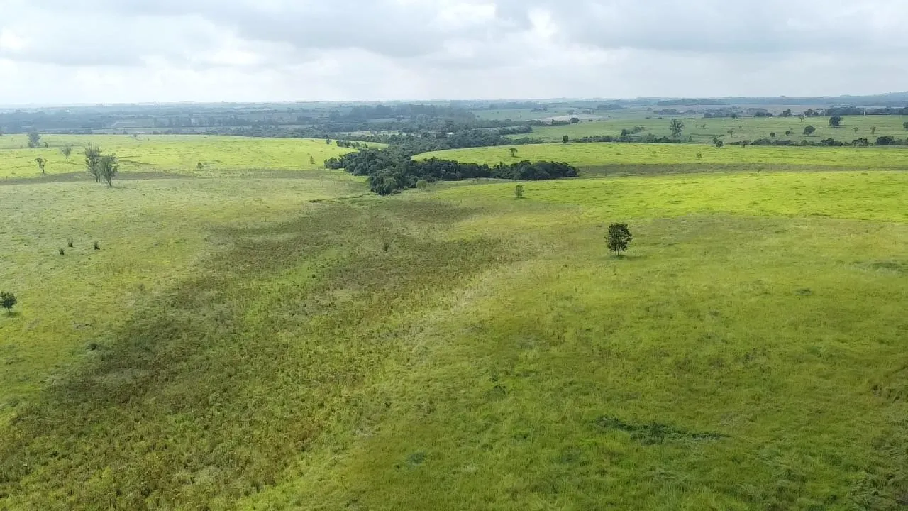 Fazenda à venda de 65 ha em Itapetininga, SP, Brasil