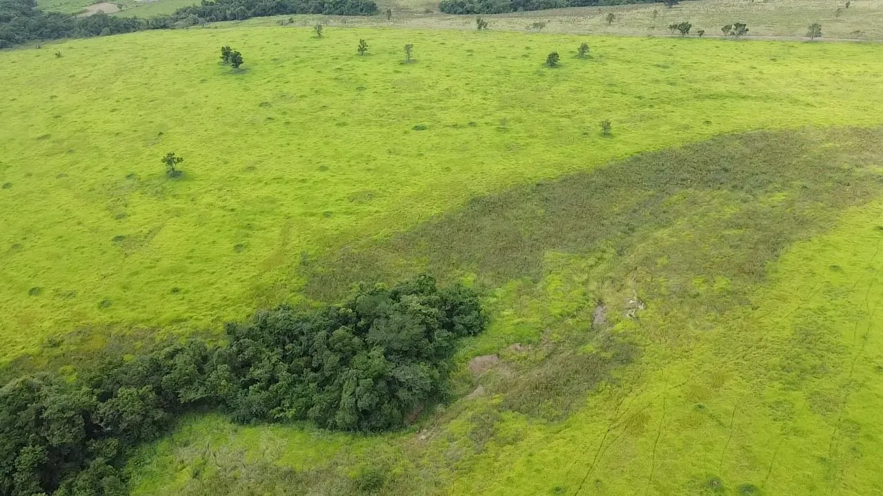 Fazenda à venda de 65 ha em Itapetininga, SP, Brasil