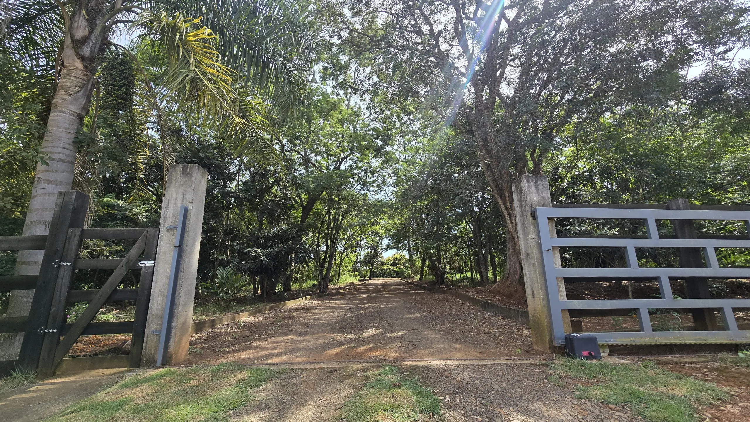 Small farm for sale of 64 acres in Japira, PR, Brazil