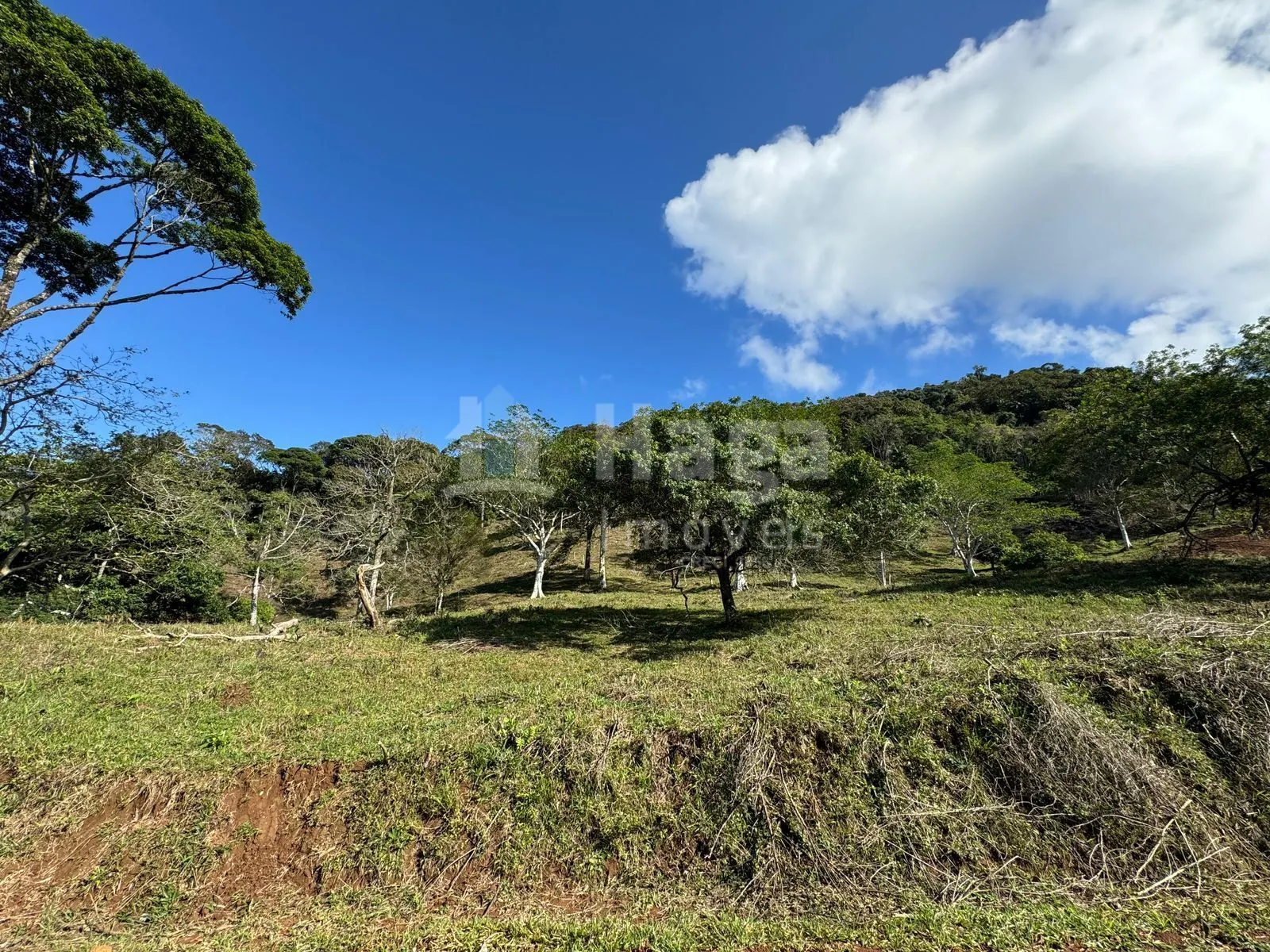 Fazenda à venda de 3.484 m² em Canelinha, SC, Brasil