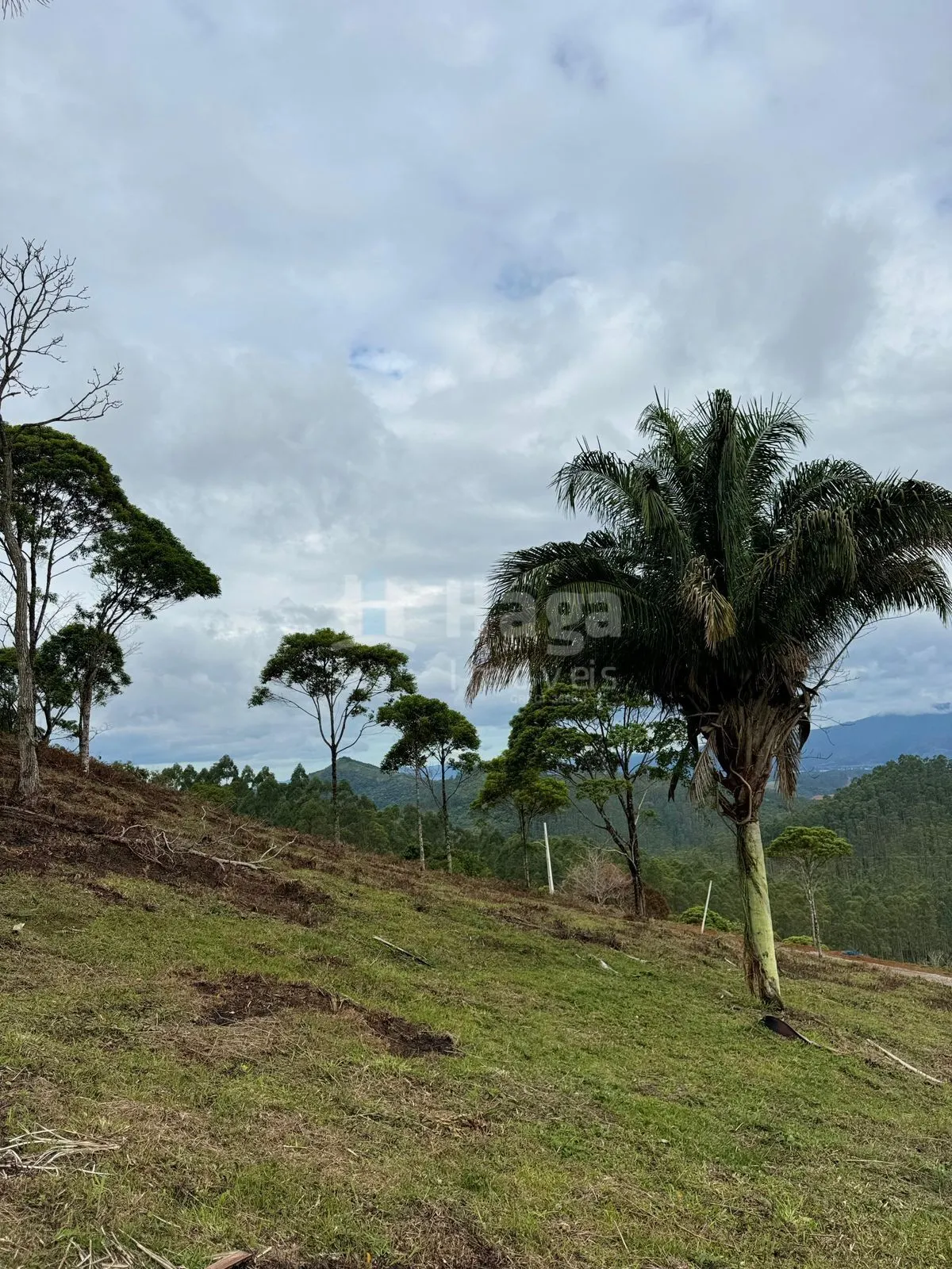Fazenda à venda de 3.484 m² em Canelinha, SC, Brasil