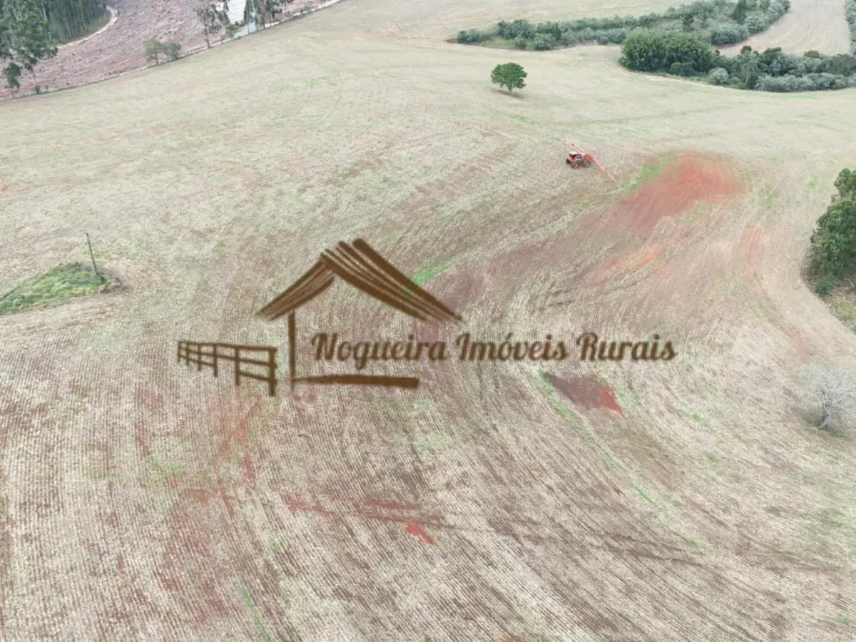 Fazenda à venda de 329 ha em Capão Bonito, SP, Brasil