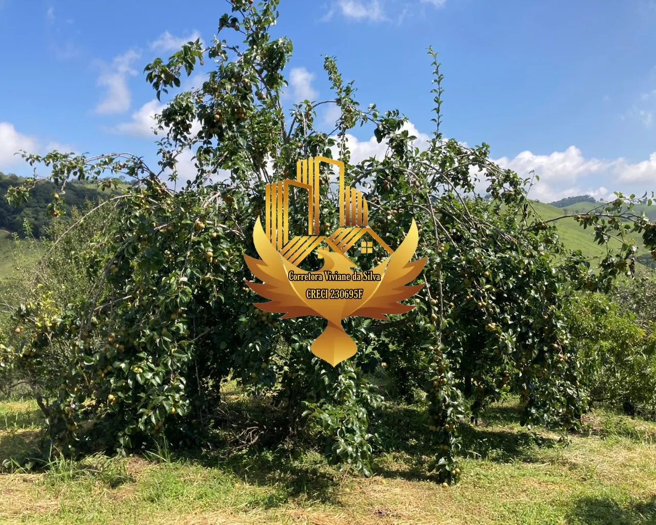 Sítio à venda de 20 ha em Lorena, SP, Brasil