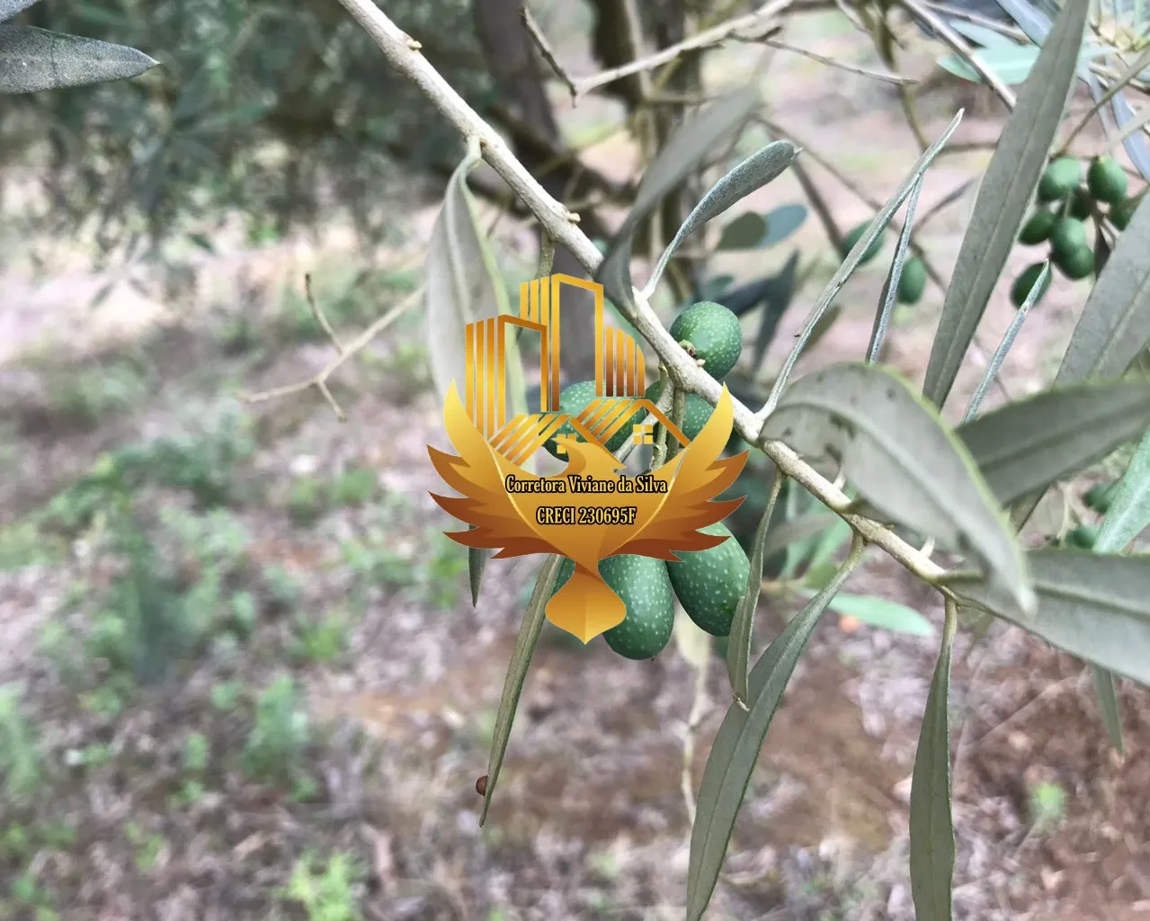 Sítio à venda de 20 ha em Lorena, SP, Brasil