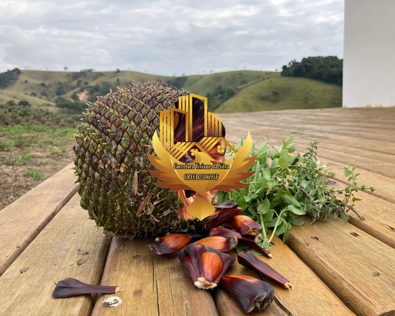Sítio à venda de 20 ha em Lorena, SP, Brasil