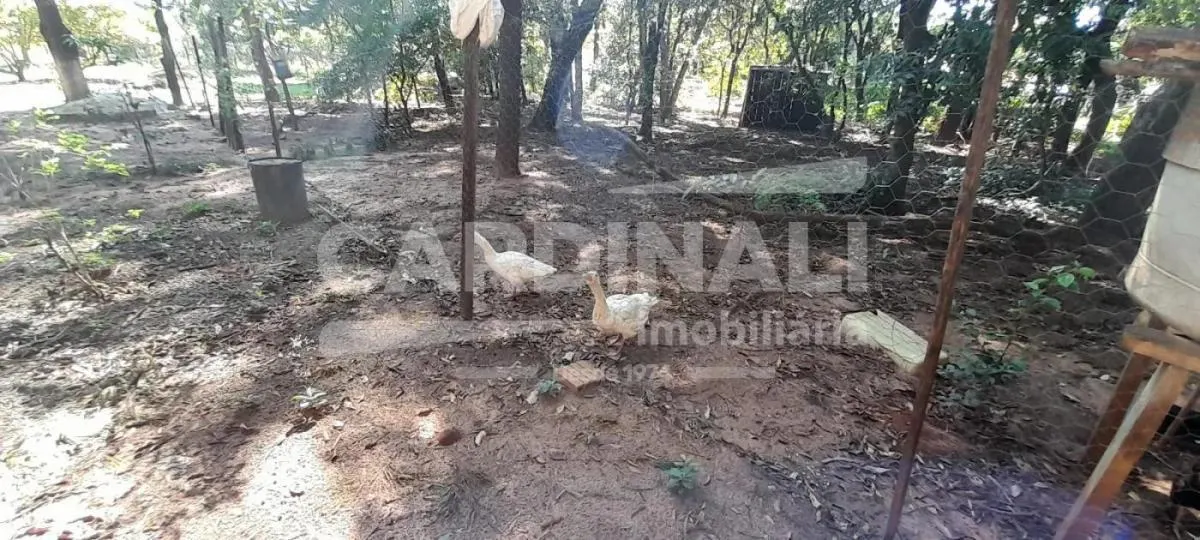 Chácara à venda de 50 m² em São Carlos, SP, Brasil