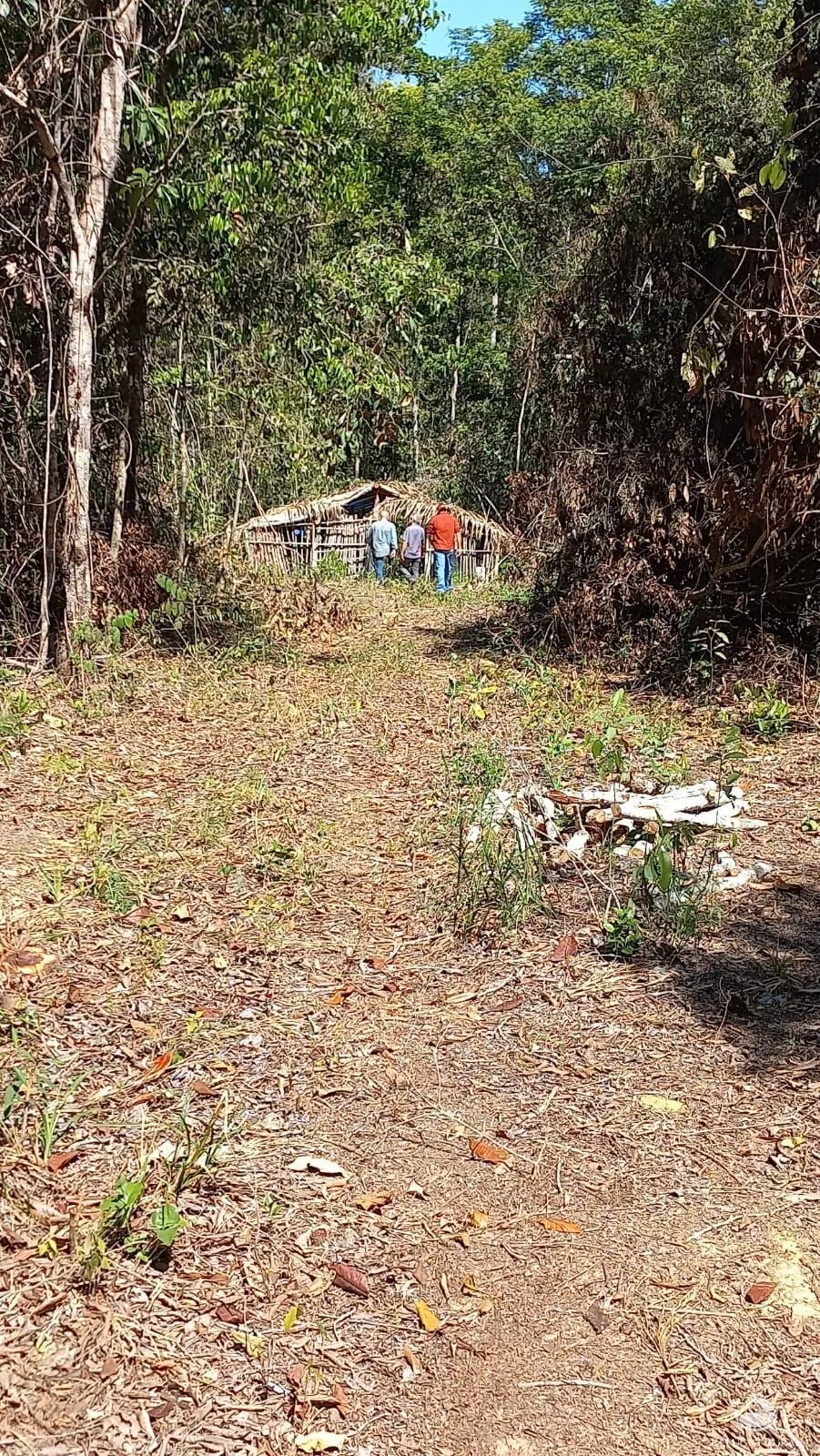 Fazenda à venda de 942 ha em Tesouro, MT, Brasil