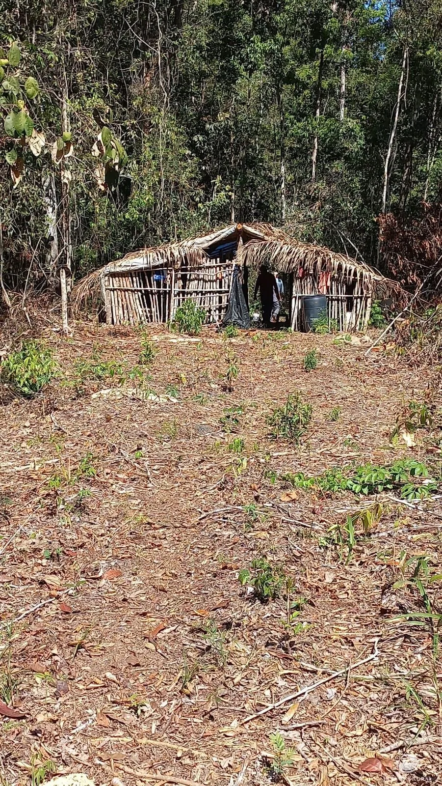 Fazenda à venda de 942 ha em Tesouro, MT, Brasil
