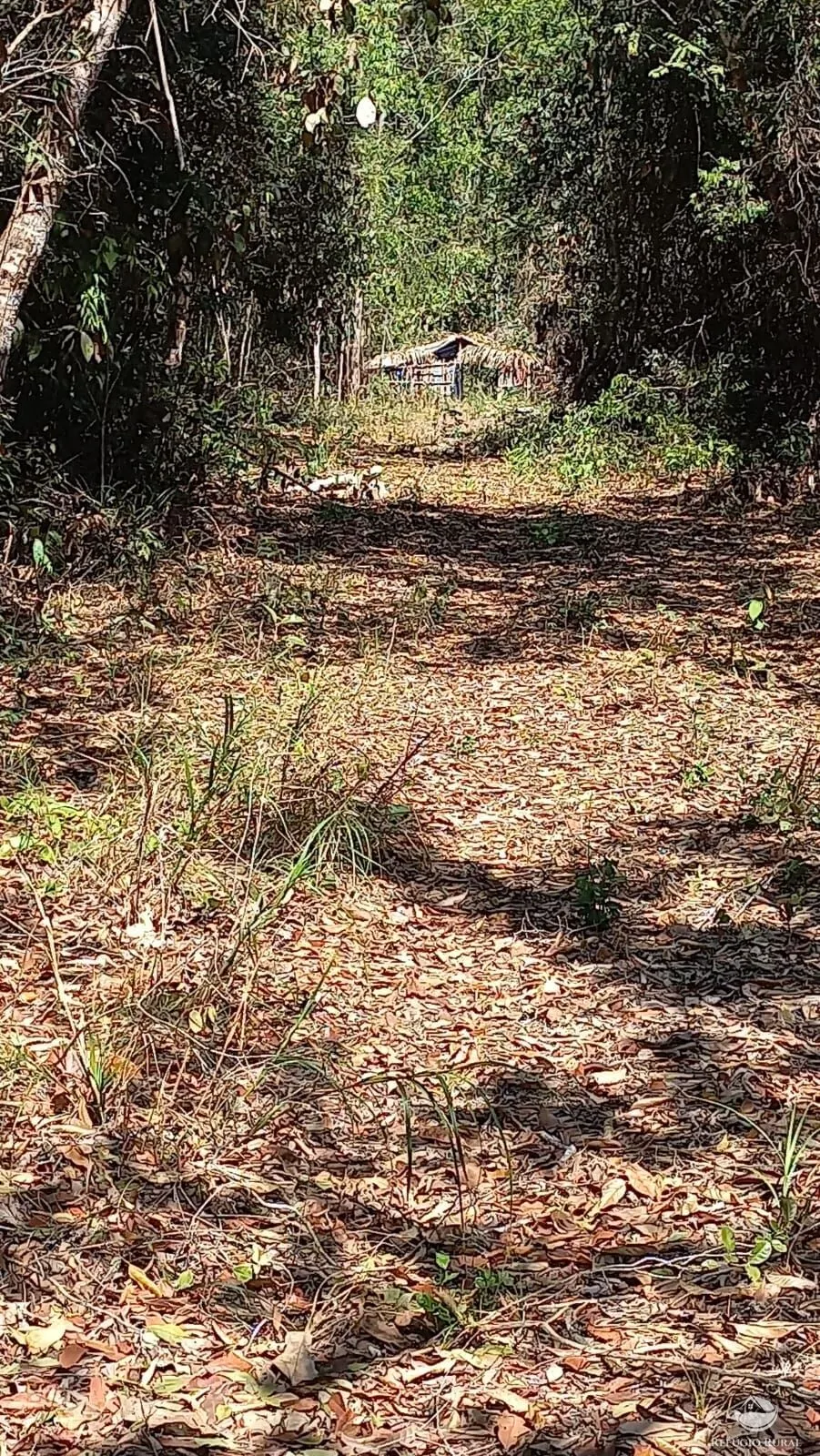Fazenda à venda de 942 ha em Tesouro, MT, Brasil