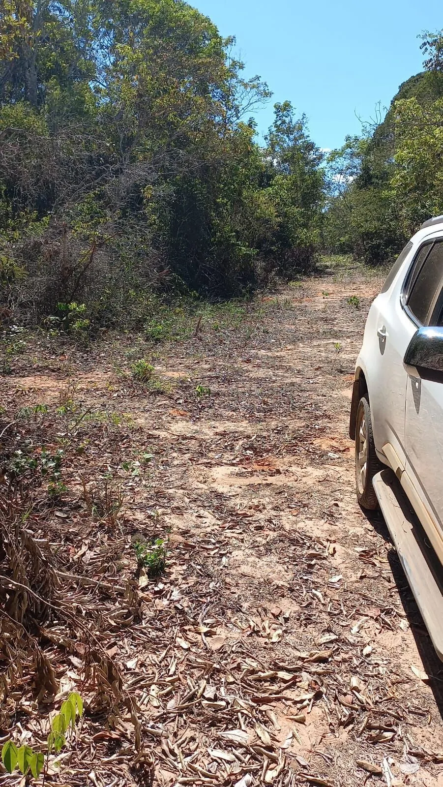 Fazenda à venda de 942 ha em Tesouro, MT, Brasil