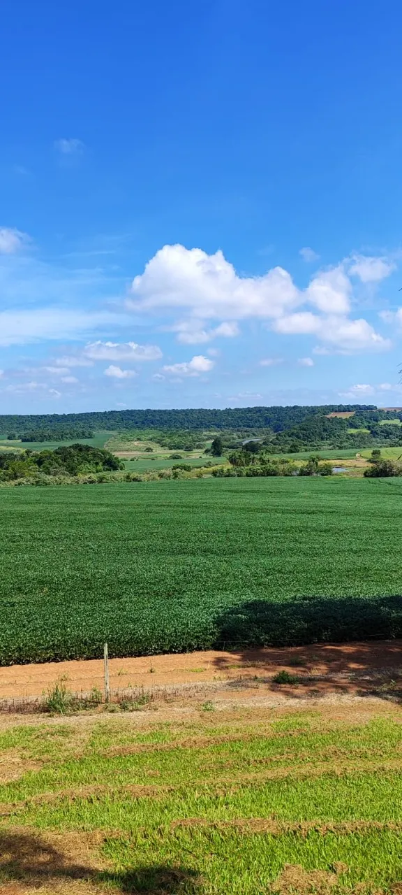 Fazenda à venda de 496 ha em Paranapanema, SP, Brasil