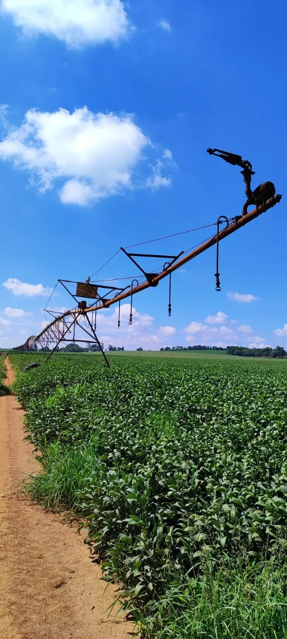 Fazenda à venda de 496 ha em Paranapanema, SP, Brasil