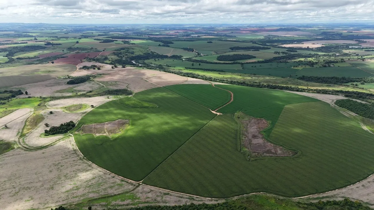 Fazenda à venda de 496 ha em Paranapanema, SP, Brasil