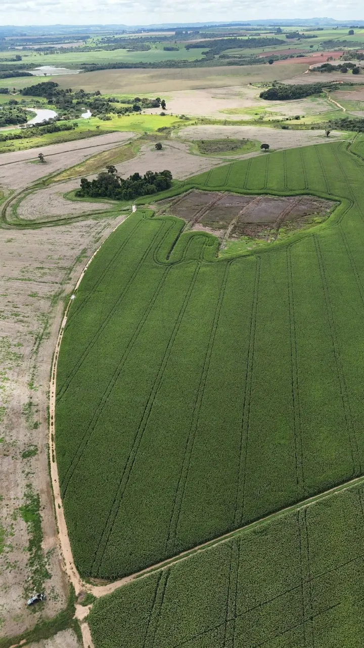 Fazenda à venda de 496 ha em Paranapanema, SP, Brasil