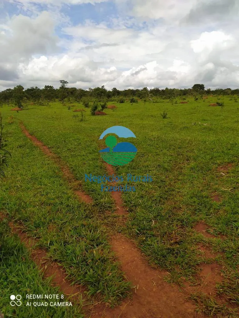 Fazenda à venda de 363 ha em Santo Antônio do Descoberto, GO, Brasil
