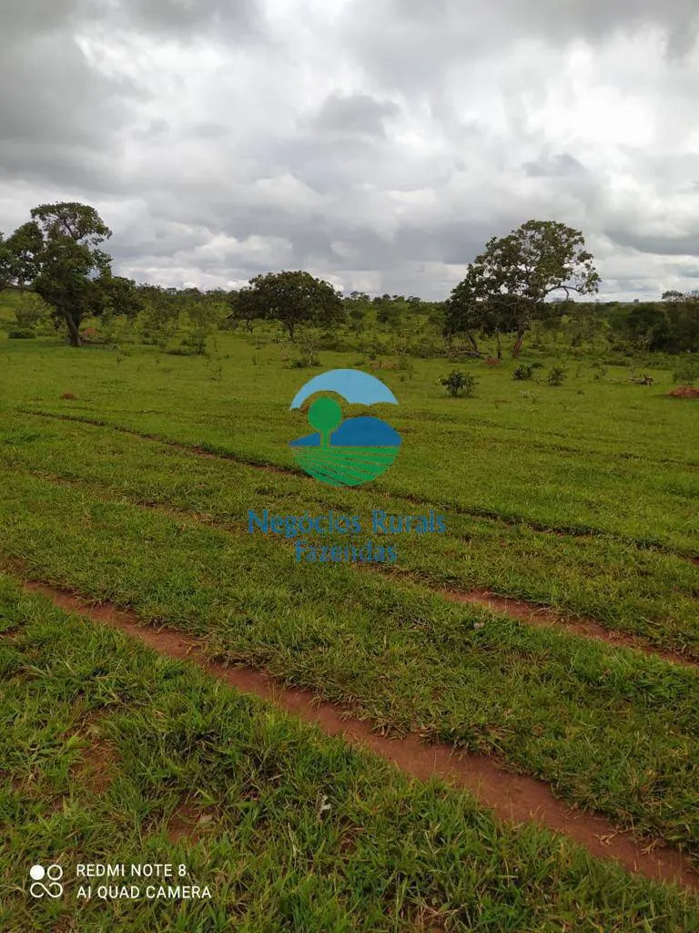 Fazenda à venda de 363 ha em Santo Antônio do Descoberto, GO, Brasil