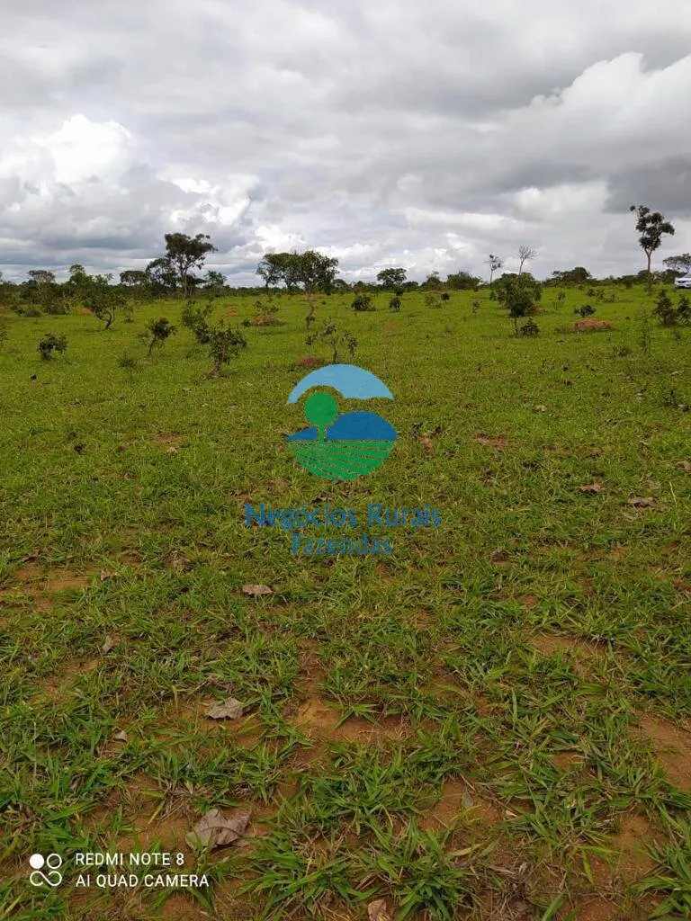 Fazenda à venda de 363 ha em Santo Antônio do Descoberto, GO, Brasil