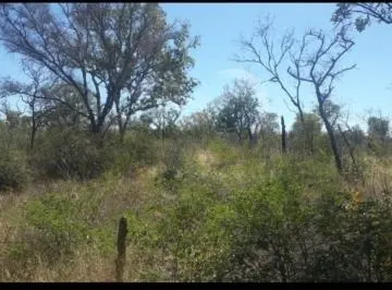Fazenda à venda de 2.530 ha em Cotegipe, BA, Brasil