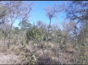 Fazenda à venda de 2.530 ha em Cotegipe, BA, Brasil
