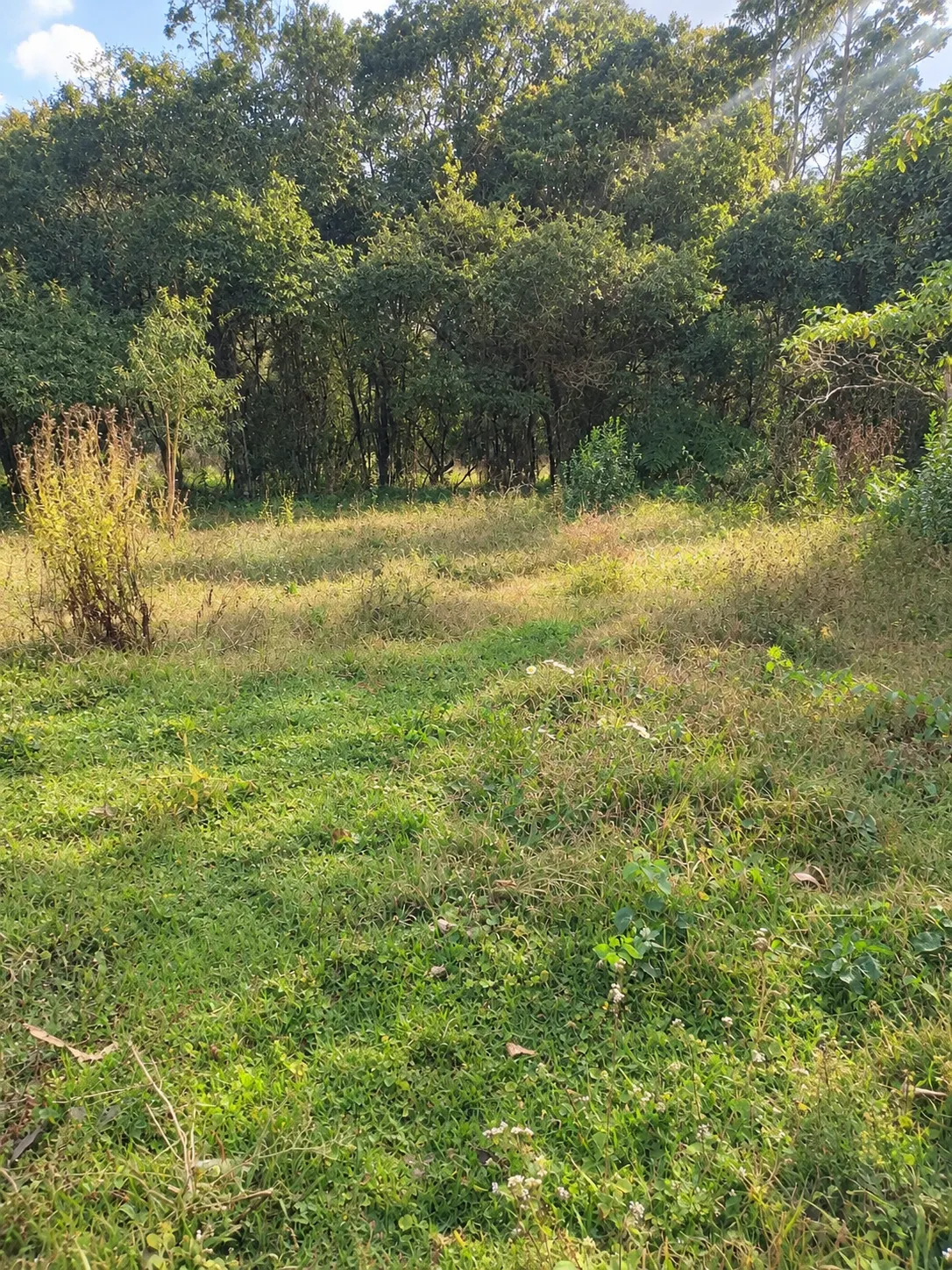 Terreno à venda de 2 ha em Bocaina de Minas, MG, Brasil