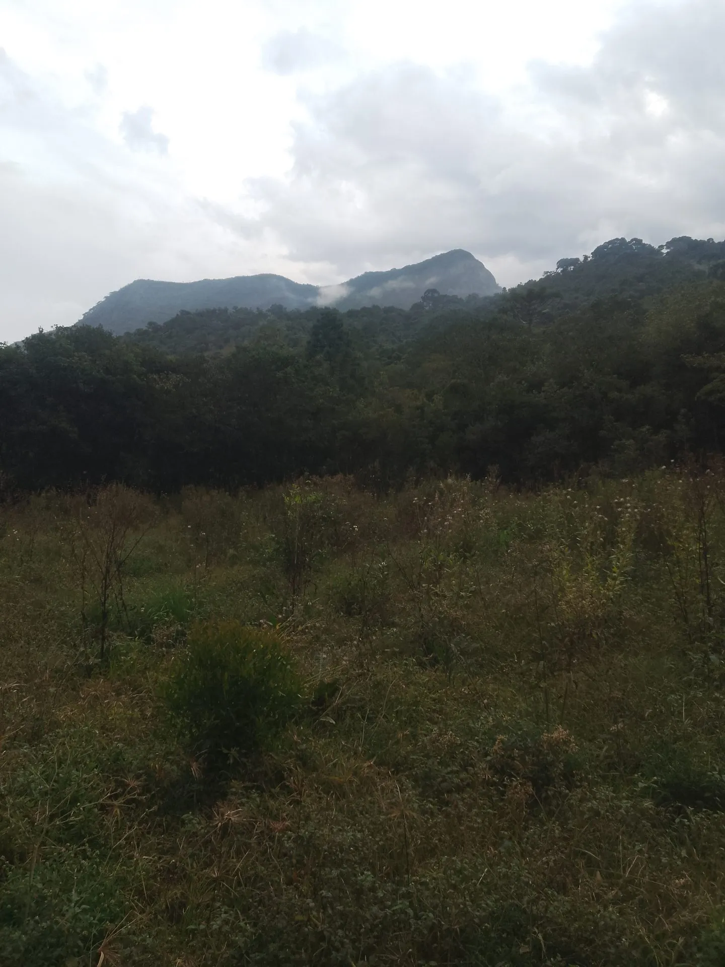 Terreno à venda de 2 ha em Bocaina de Minas, MG, Brasil